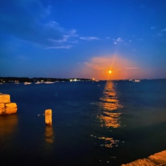 Meet your Posher, Audrey - Picture 1 of 1